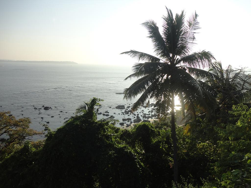 The Yuppi Hippi Hideout Hotel Anjuna Phòng bức ảnh